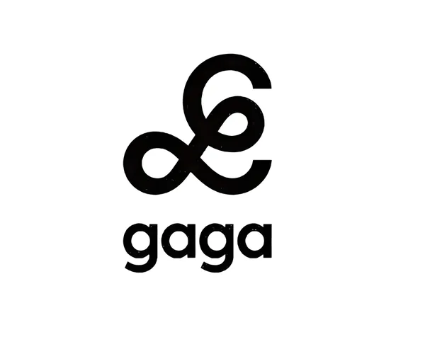 gaga × 食光宝盒